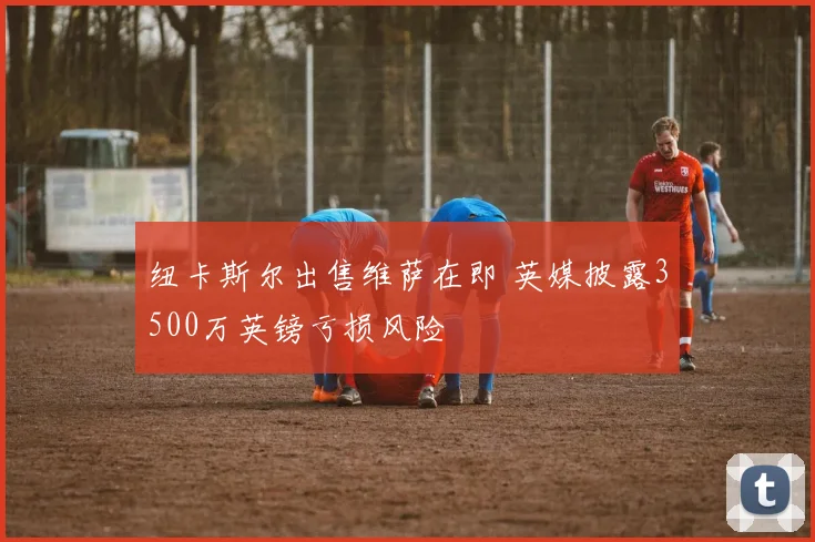 纽卡斯尔出售维萨在即 英媒披露3500万英镑亏损风险